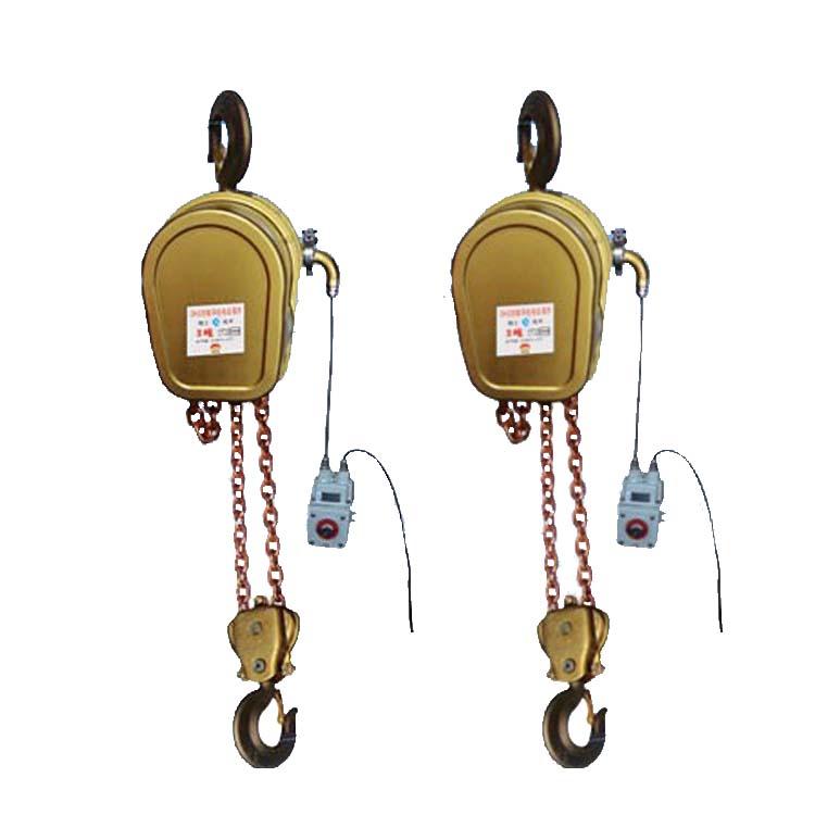 3T 5T防爆電動(dòng)葫蘆